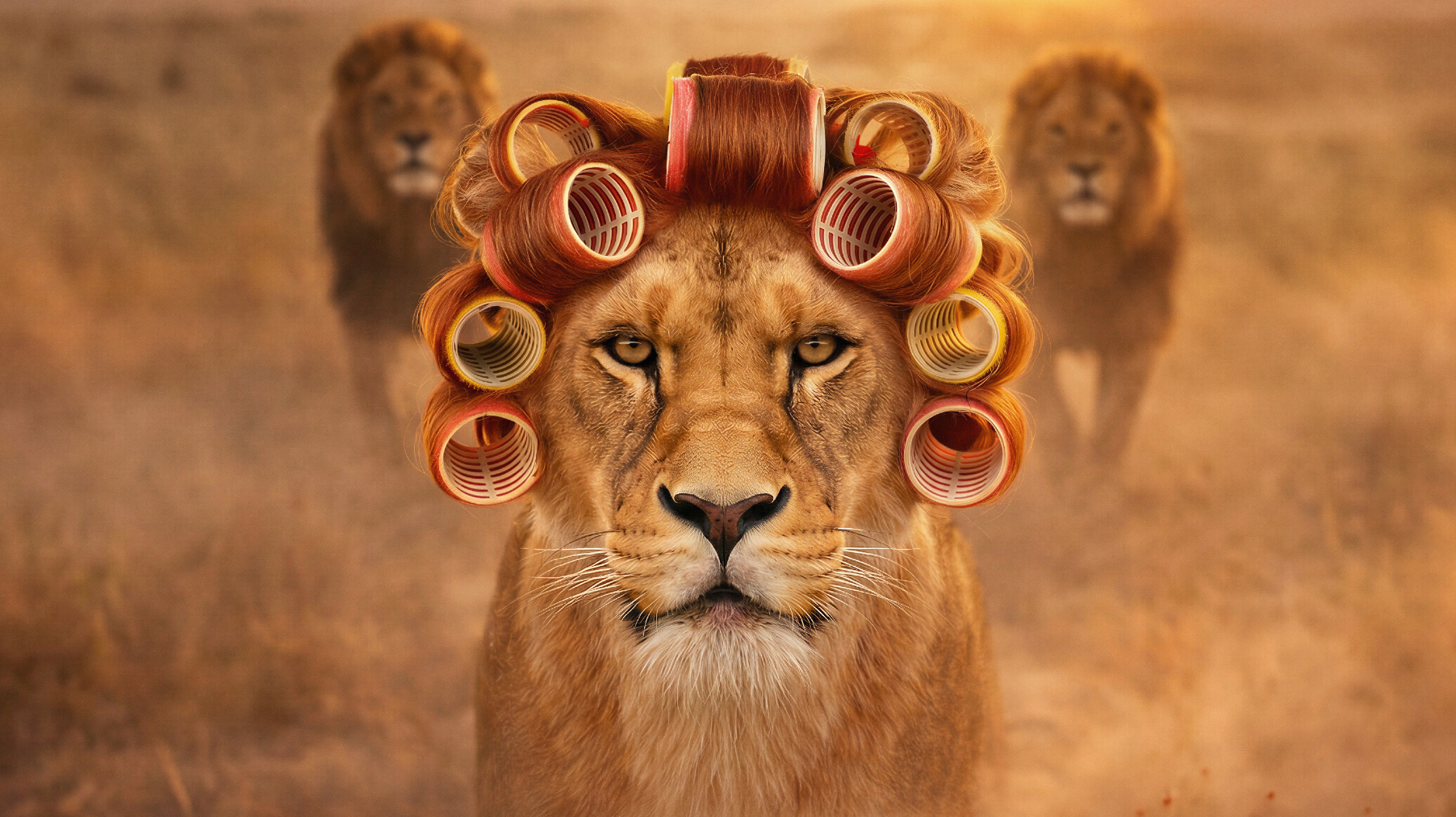 Fotografie m.v.b. AI