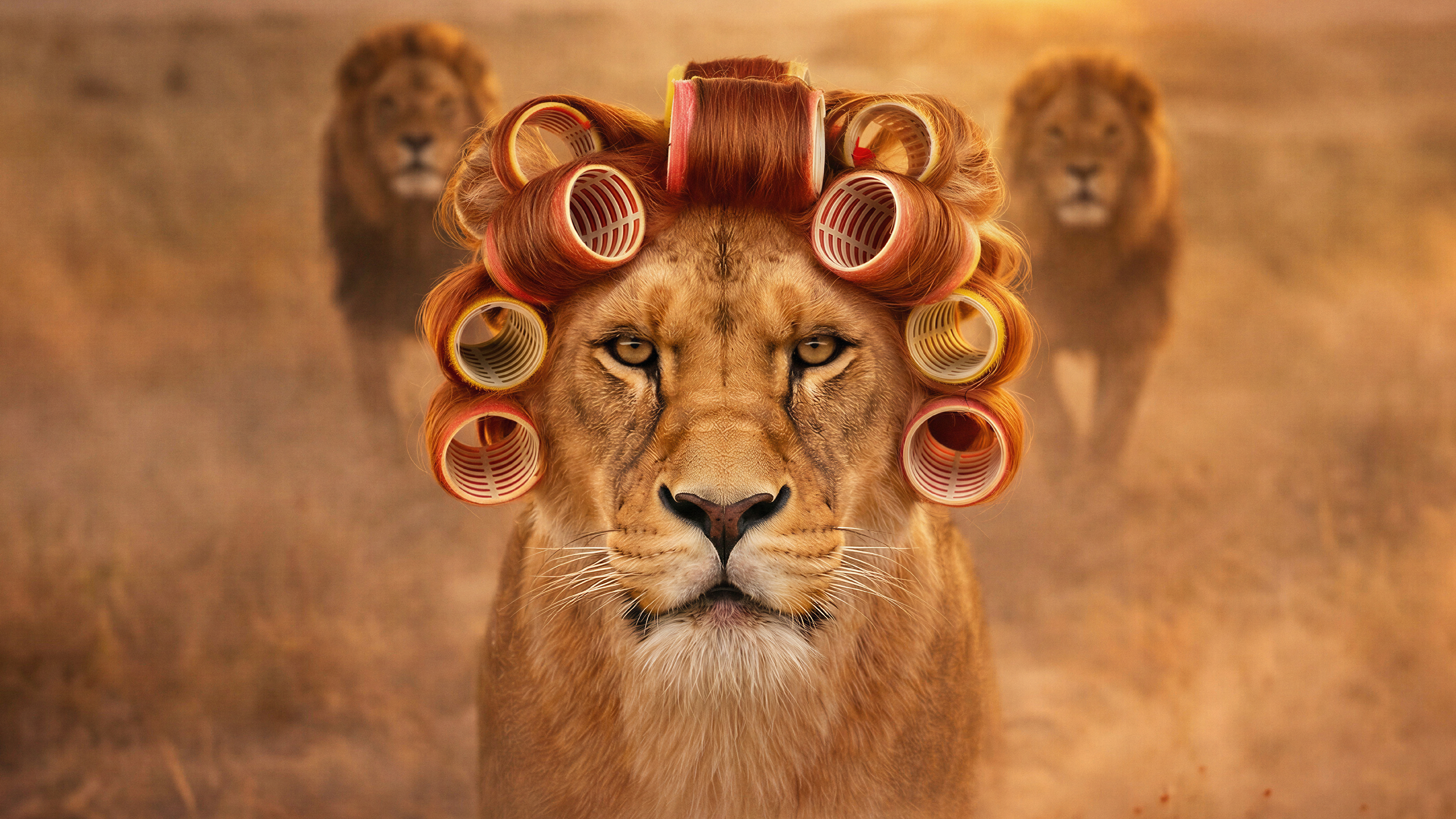 Header fotografie m.b.v. AI